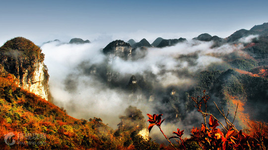 油杉河景区 AAAA景区