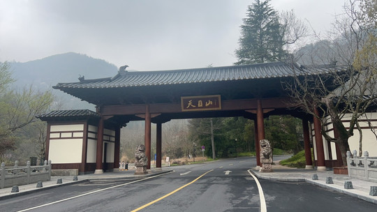天目山自然保护区 AAAA景区